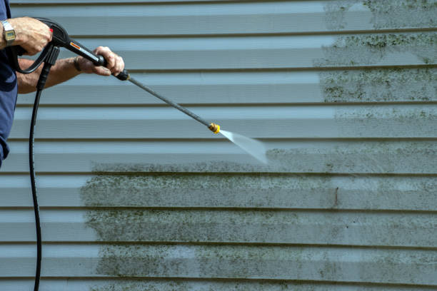 Best Building Exterior Washing  in Hayfield, VA