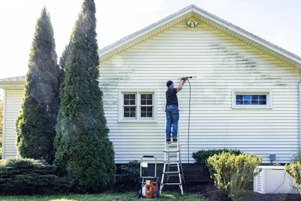 Solar Panel Cleaning in Hayfield, VA